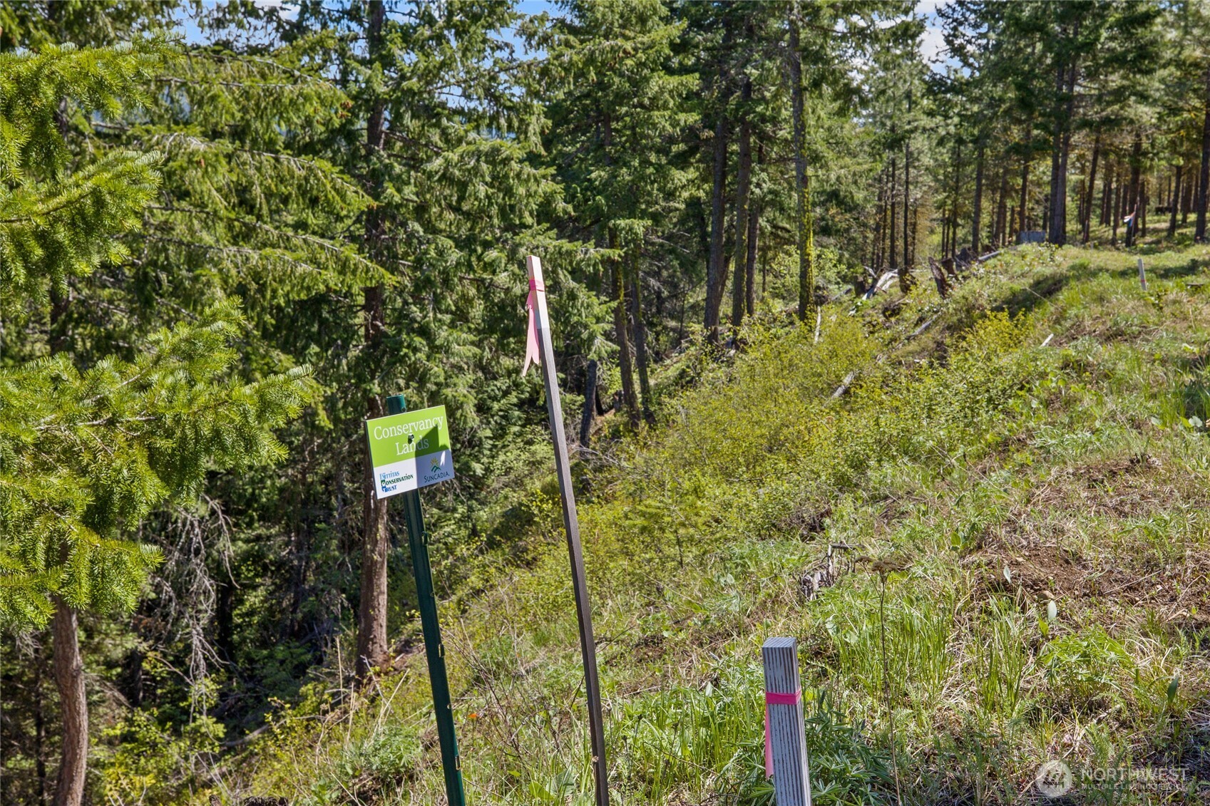 45 Gold Leaf Lane , Cle Elum, WA 98922