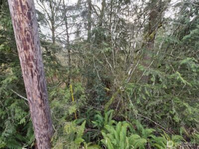 15102 Scott Turner Road E, Eatonville, WA 98328 - Photo 2