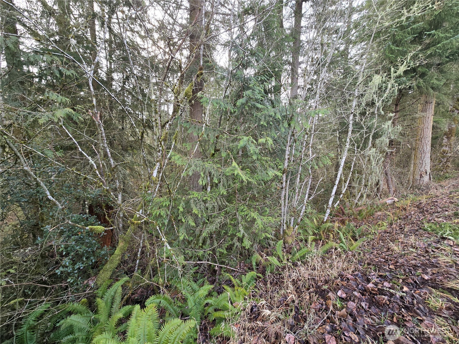 15102 Scott Turner Road E, Eatonville, WA 98328