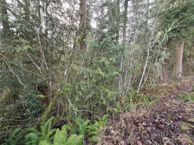 15102 Scott Turner Road E, Eatonville, WA 98328 - Photo 3