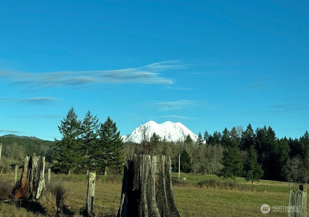 15102 Scott Turner Road E, Eatonville, WA 98328