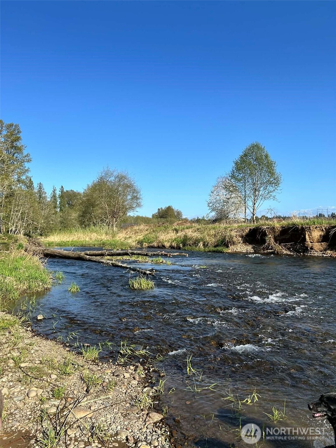 1554 State Route 508 , Onalaska, WA 98570