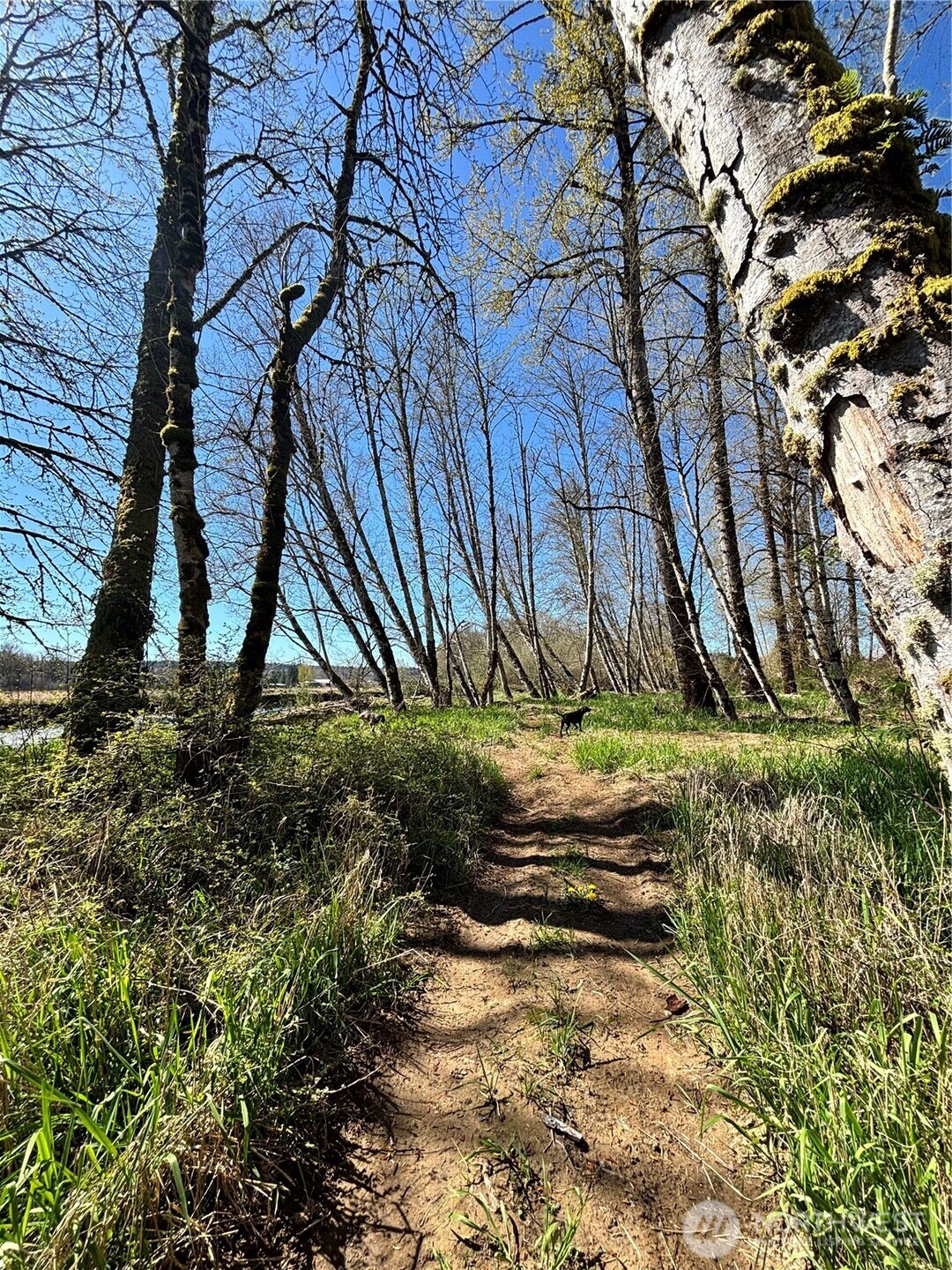 1554 State Route 508 , Onalaska, WA 98570