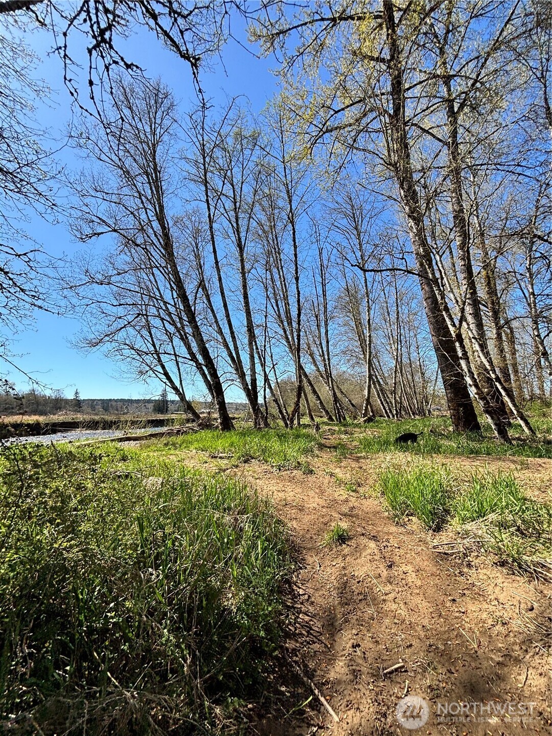1554 State Route 508 , Onalaska, WA 98570