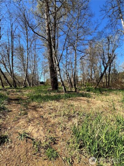1554 State Route 508 , Onalaska, WA 98570 - Photo 23