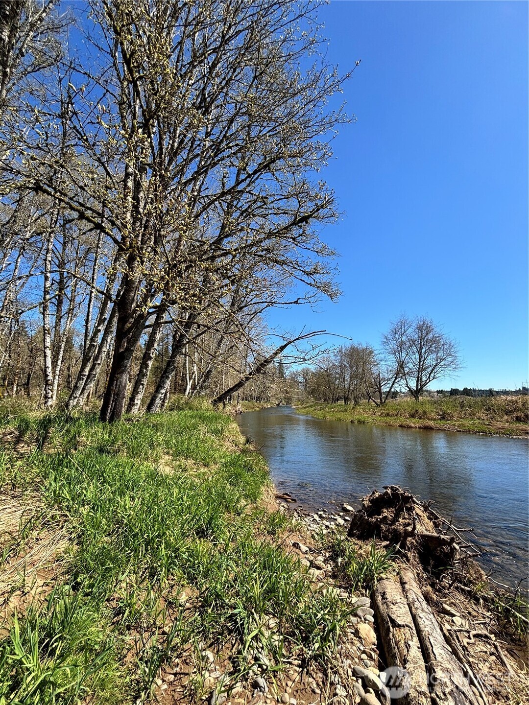 1554 State Route 508 , Onalaska, WA 98570