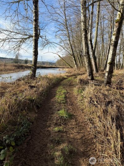 1554 State Route 508 , Onalaska, WA 98570 - Photo 9