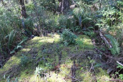 39 Dolphin Ln. , Copalis Beach, WA 98535 - Photo 11