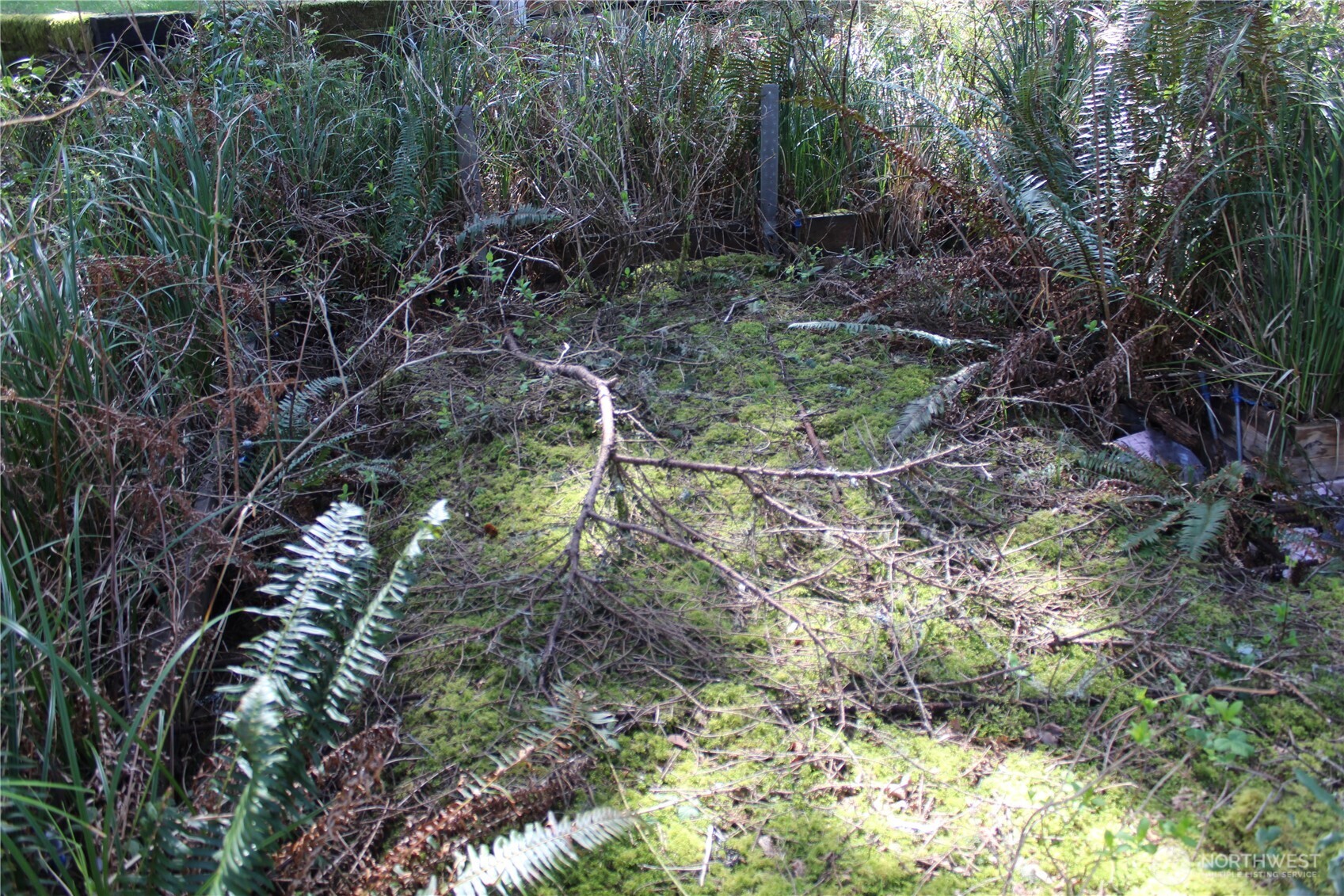 39 Dolphin Ln. , Copalis Beach, WA 98535