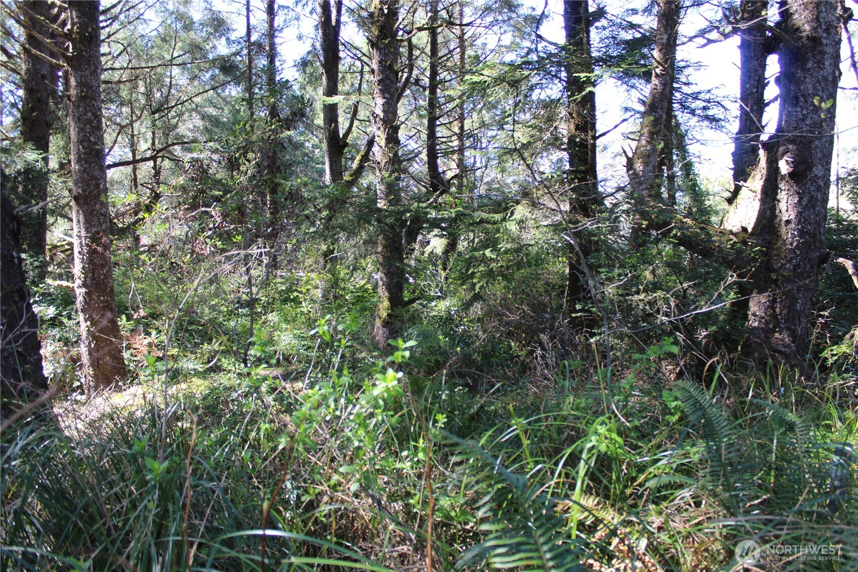 39 Dolphin Ln. , Copalis Beach, WA 98535