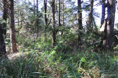 39 Dolphin Ln. , Copalis Beach, WA 98535 - Photo 13