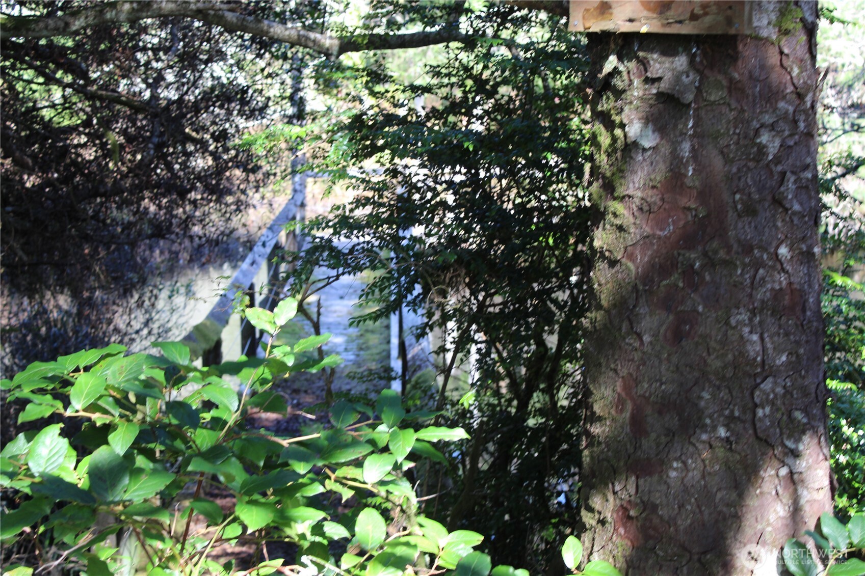 39 Dolphin Ln. , Copalis Beach, WA 98535