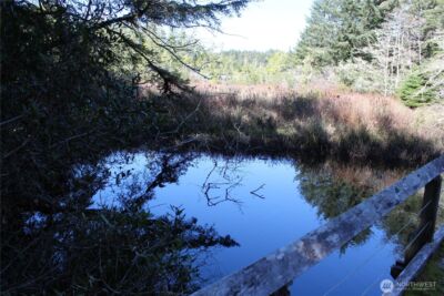 39 Dolphin Ln. , Copalis Beach, WA 98535 - Photo 17