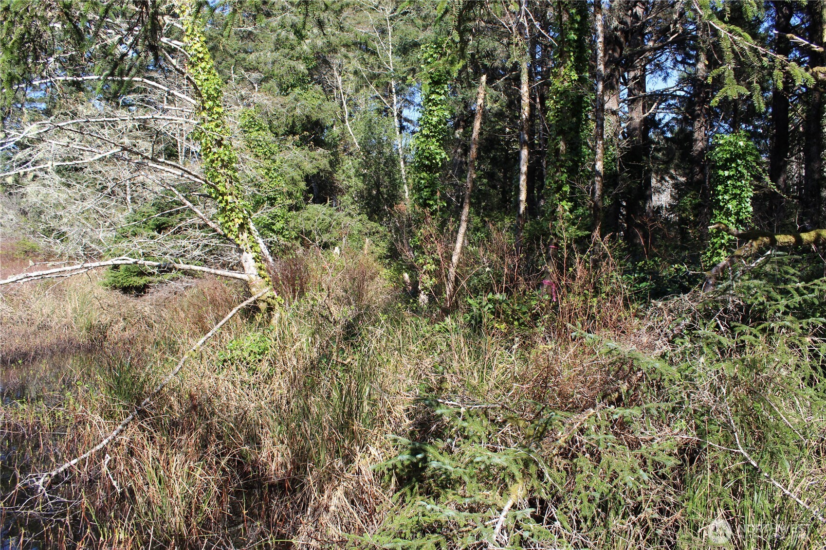 39 Dolphin Ln. , Copalis Beach, WA 98535