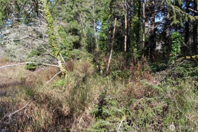 39 Dolphin Ln. , Copalis Beach, WA 98535 - Photo 18