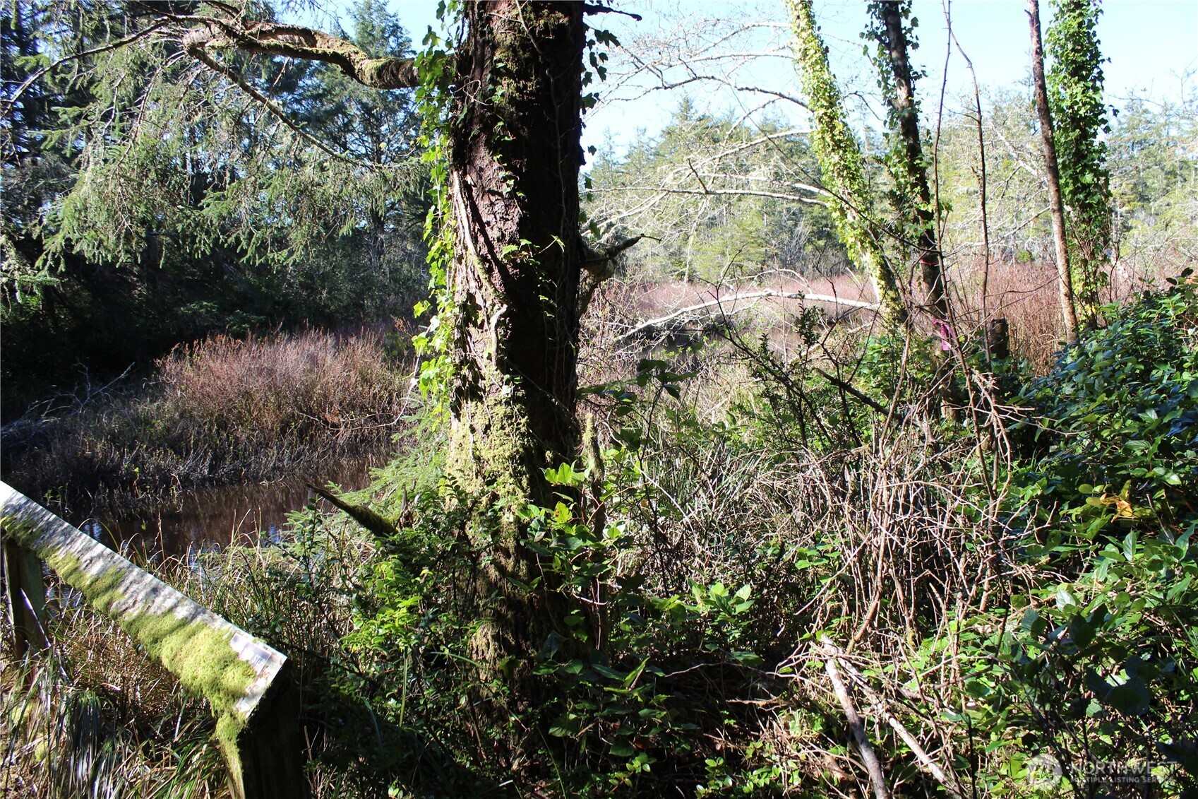 39 Dolphin Ln. , Copalis Beach, WA 98535