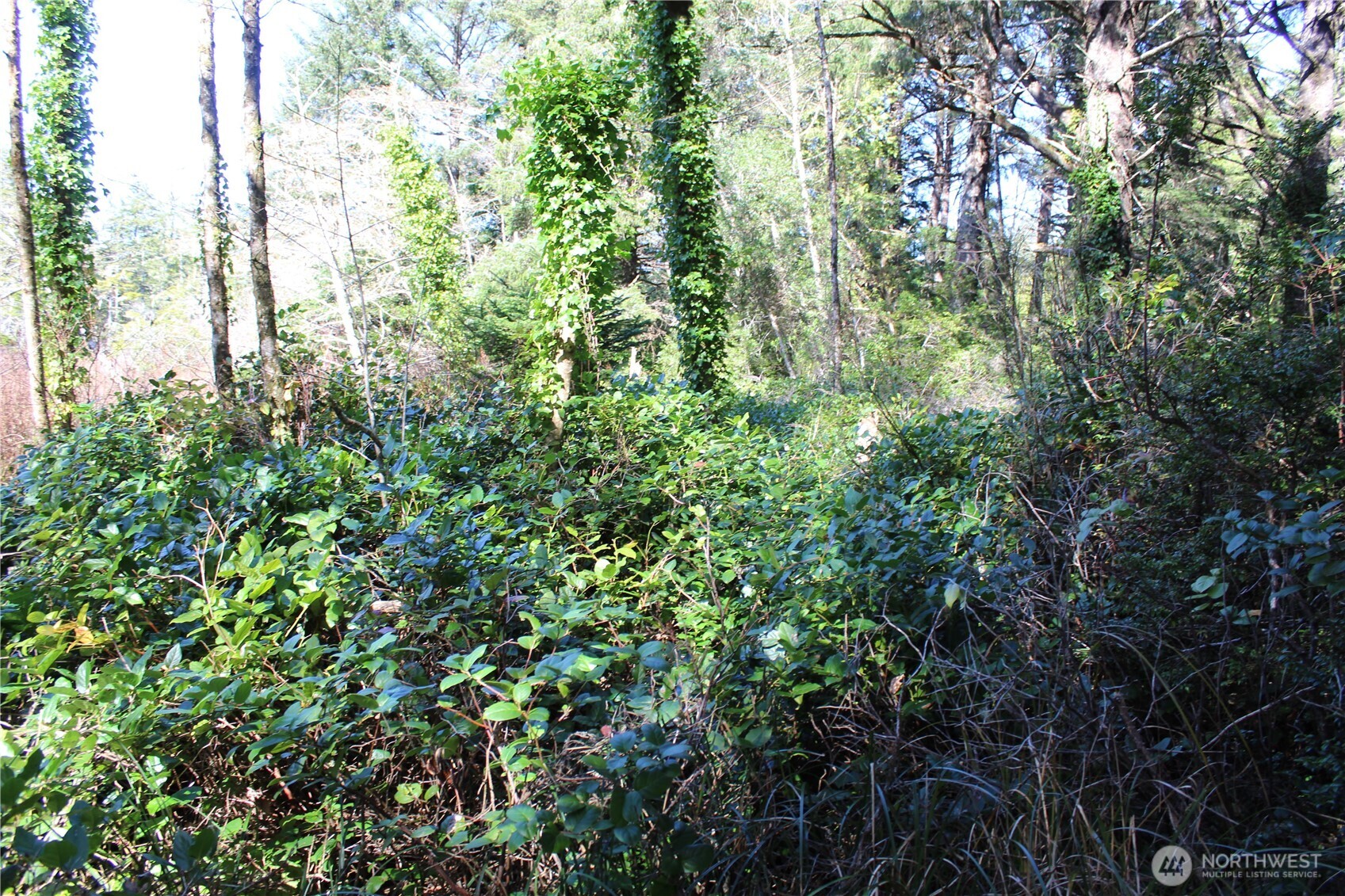 39 Dolphin Ln. , Copalis Beach, WA 98535