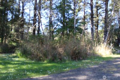 39 Dolphin Ln. , Copalis Beach, WA 98535 - Photo 4