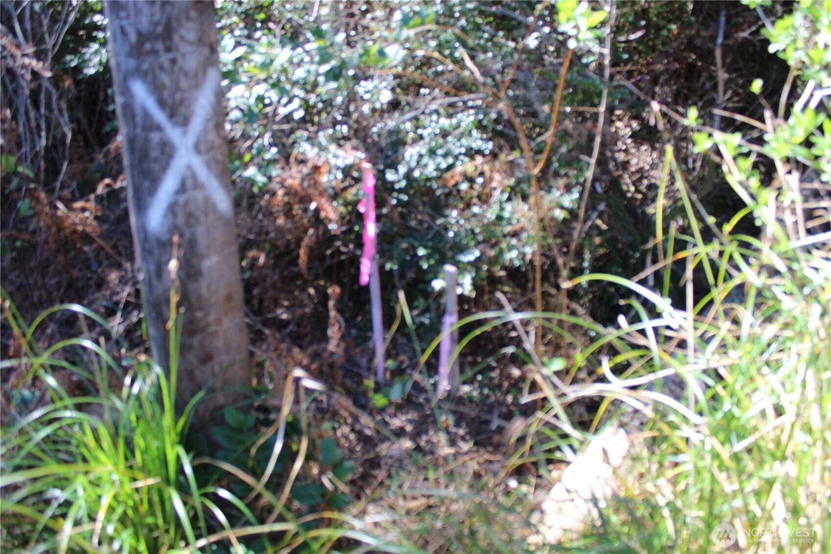 39 Dolphin Ln. , Copalis Beach, WA 98535