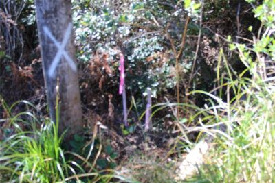 39 Dolphin Ln. , Copalis Beach, WA 98535 - Photo 5