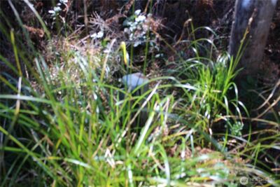 39 Dolphin Ln. , Copalis Beach, WA 98535 - Photo 6