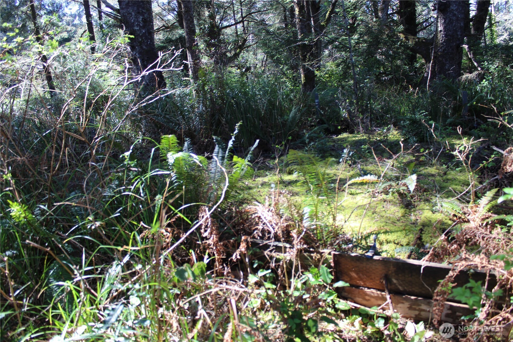 39 Dolphin Ln. , Copalis Beach, WA 98535