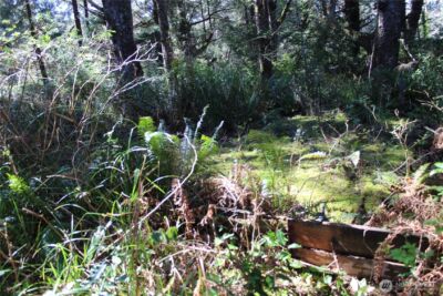 39 Dolphin Ln. , Copalis Beach, WA 98535 - Photo 7