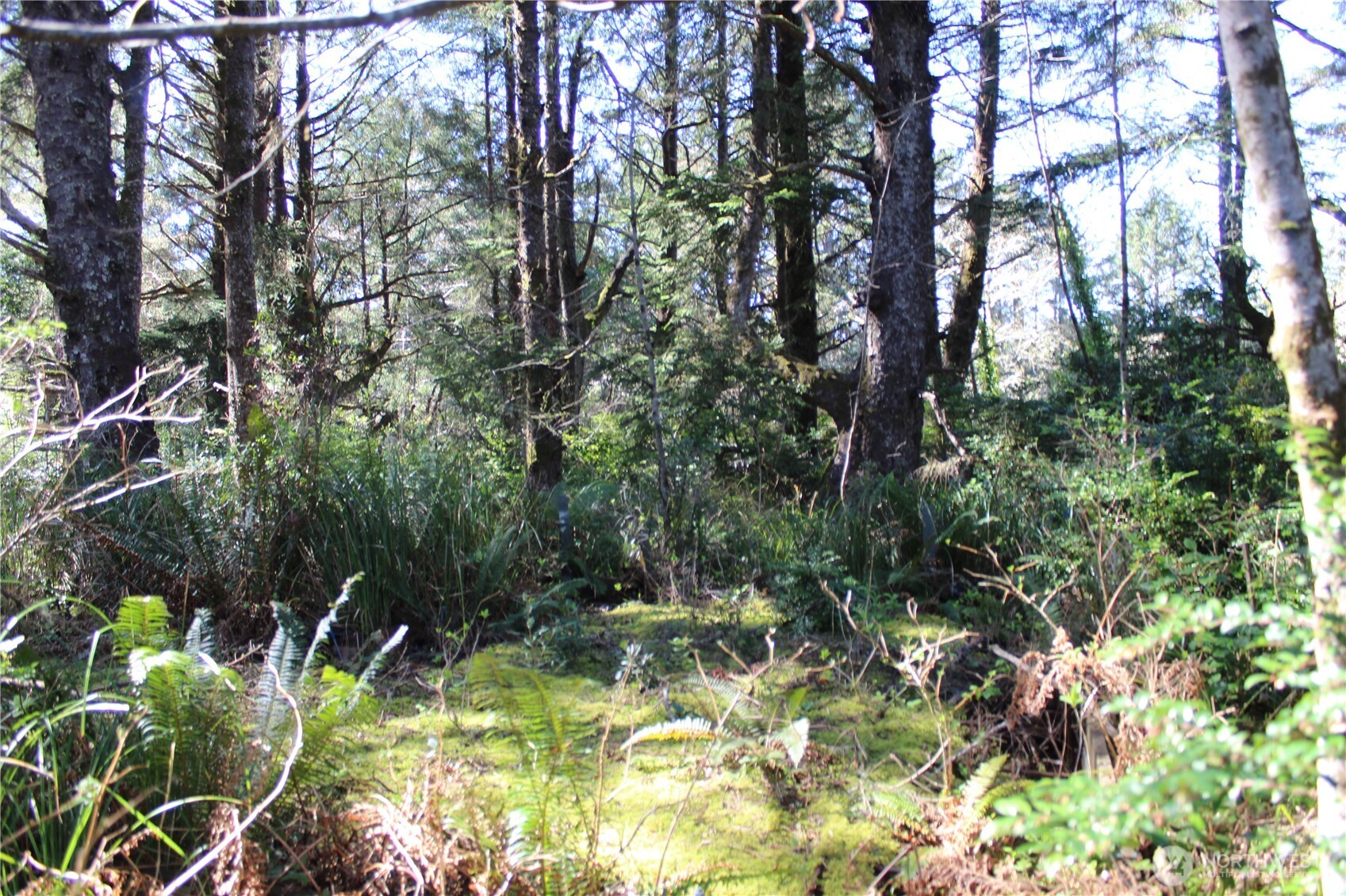 39 Dolphin Ln. , Copalis Beach, WA 98535