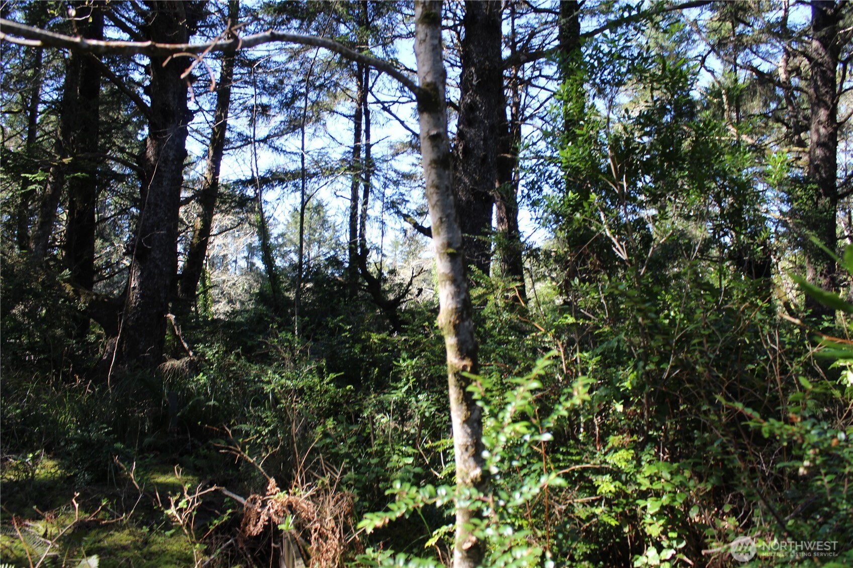 39 Dolphin Ln. , Copalis Beach, WA 98535