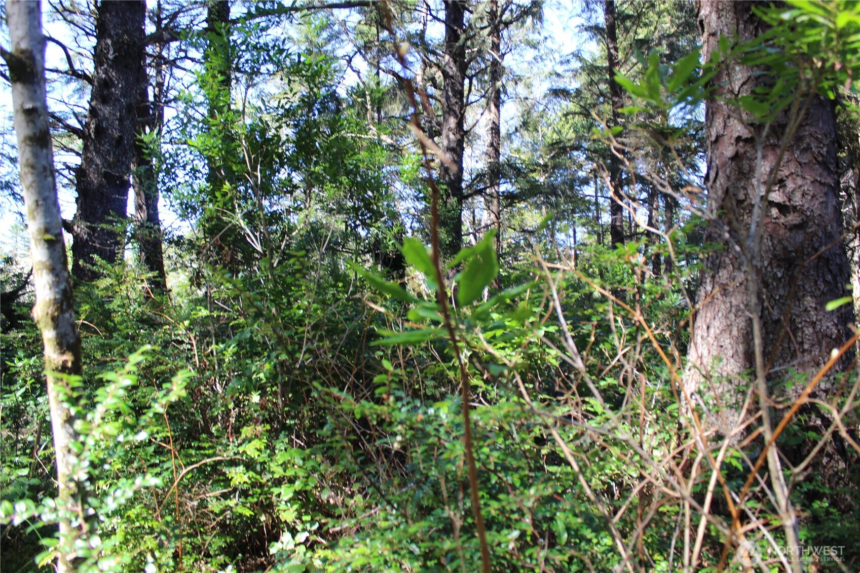 39 Dolphin Ln. , Copalis Beach, WA 98535