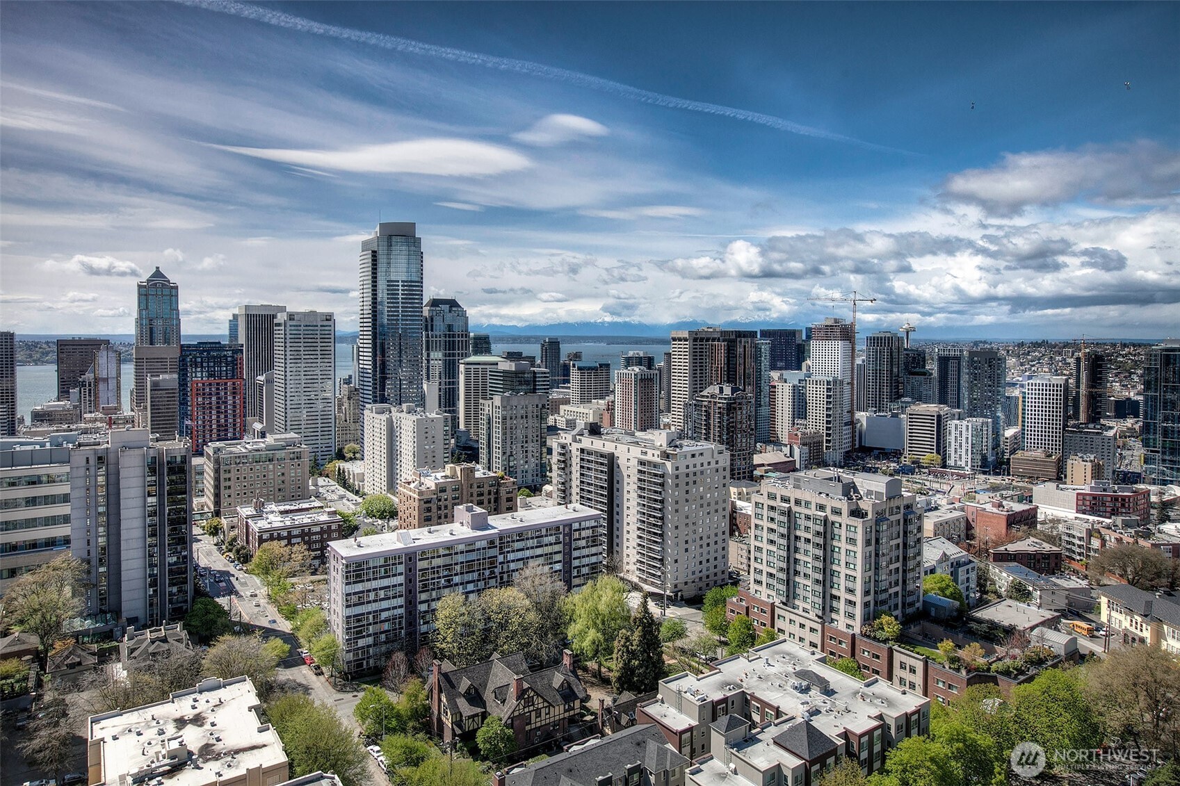 1321 Seneca Street #206, Seattle, WA 98101