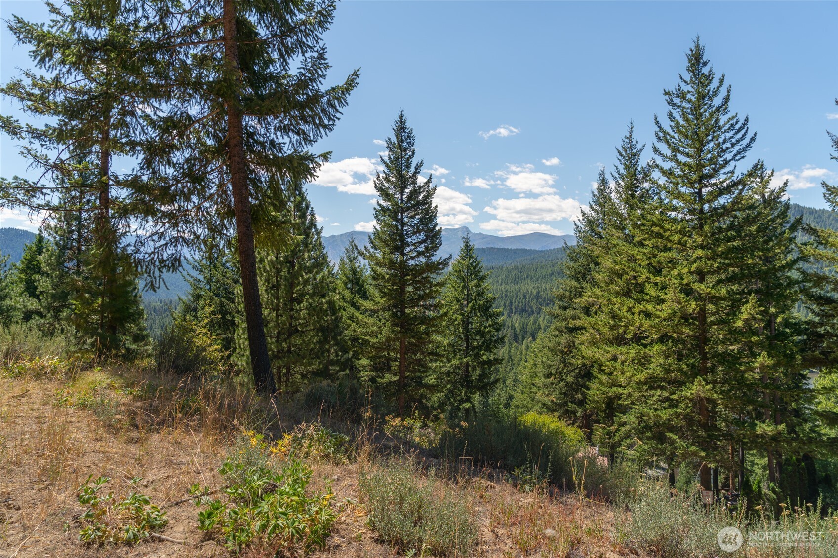 25601 Camp 12 Rd , Leavenworth, WA 98826