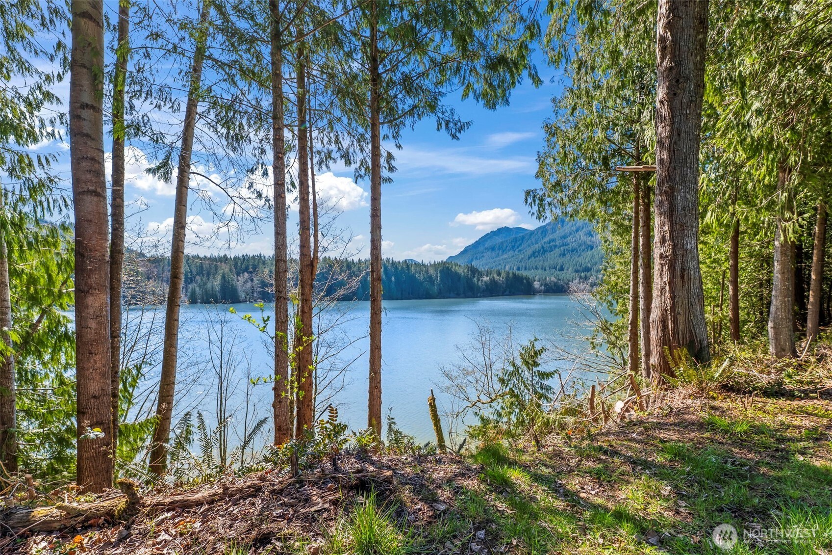 13018 532nd Street E, Eatonville, WA 98328