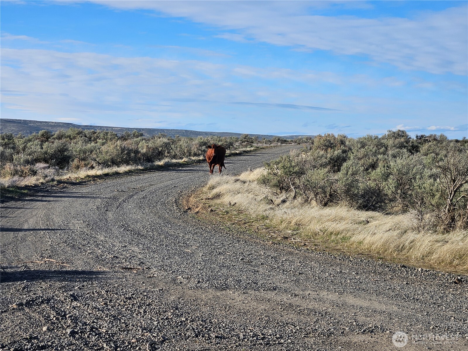 2 Singletree Drive , Ephrata, WA 98823