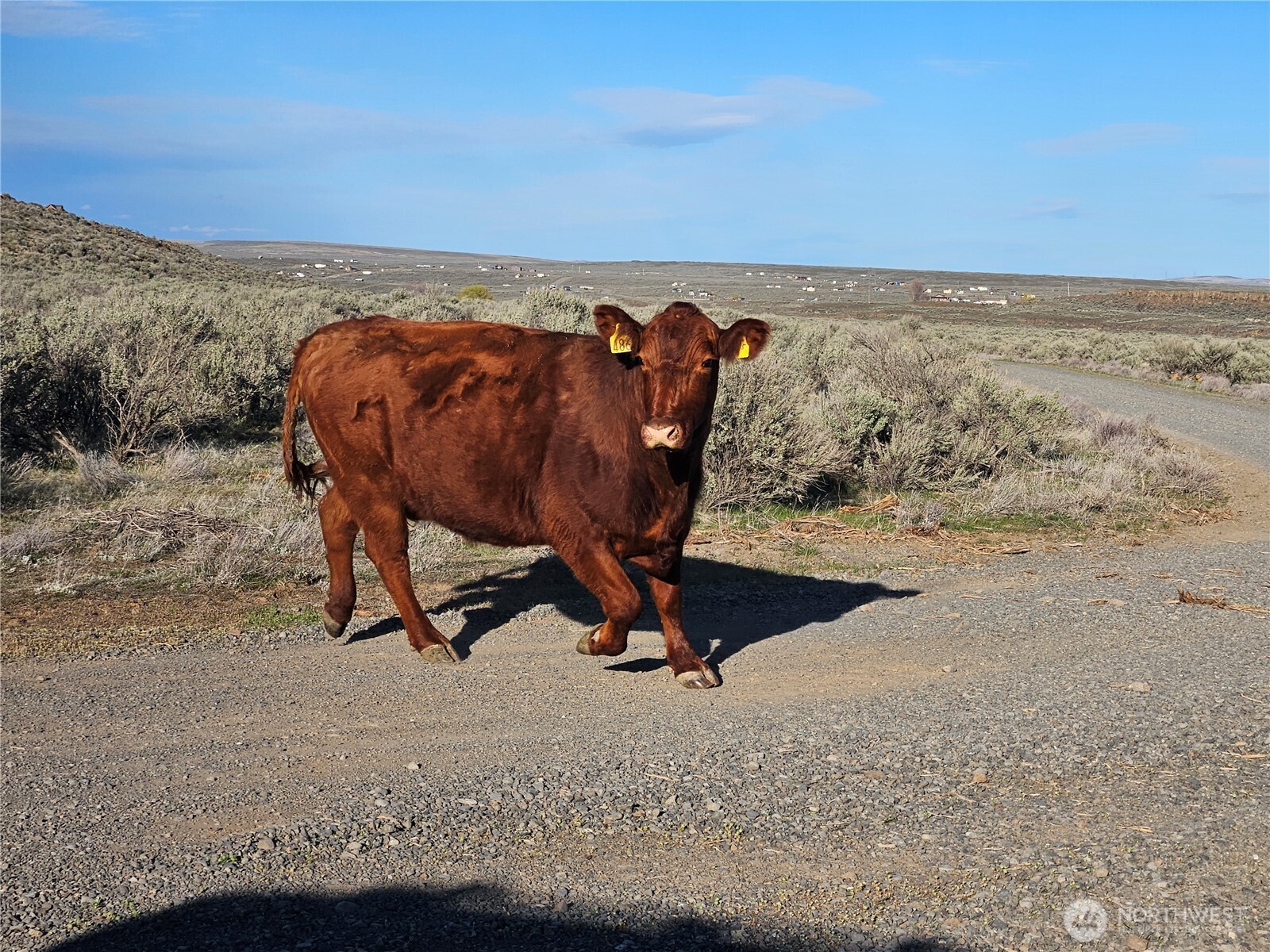 2 Singletree Drive , Ephrata, WA 98823