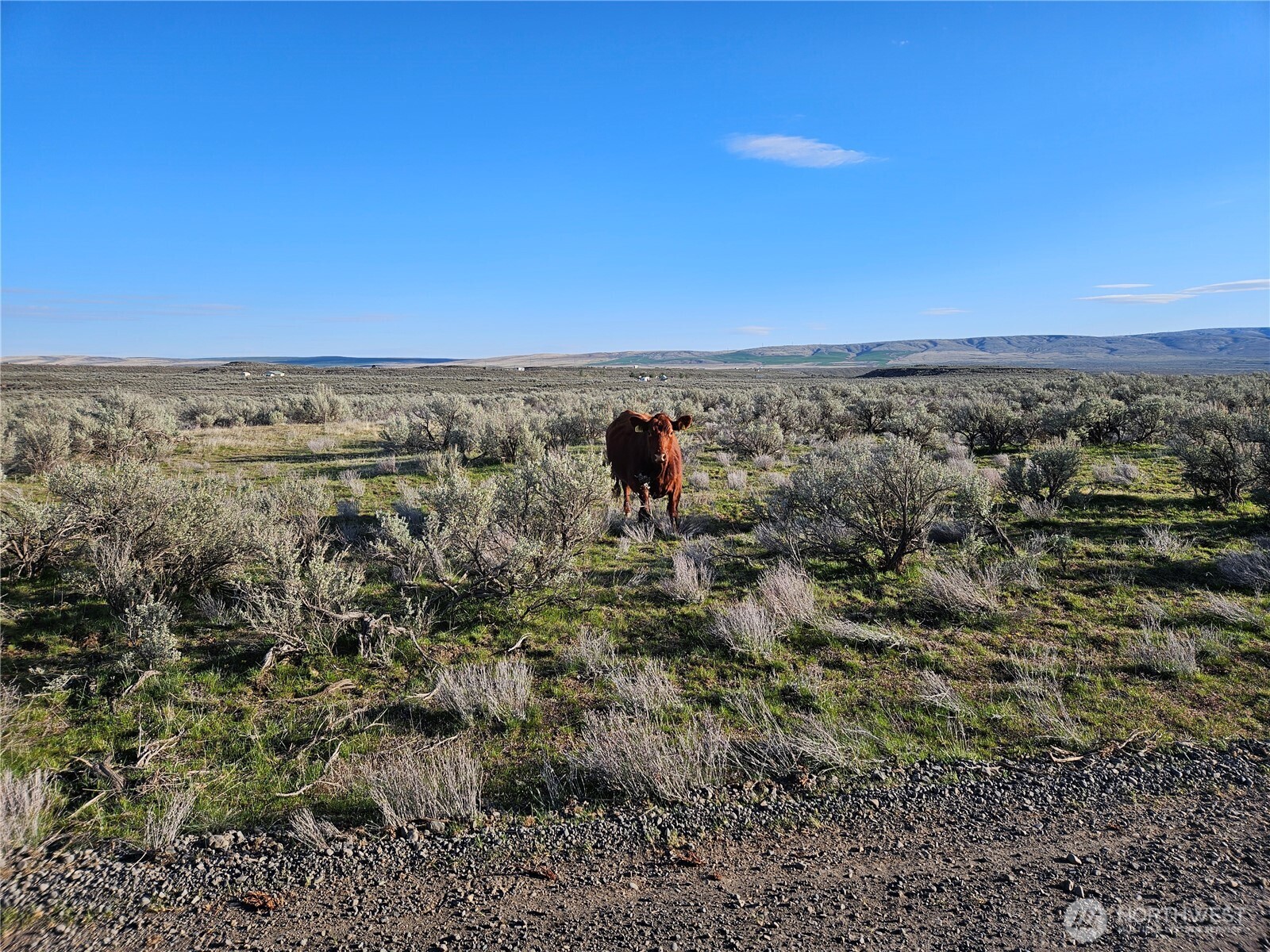 2 Singletree Drive , Ephrata, WA 98823