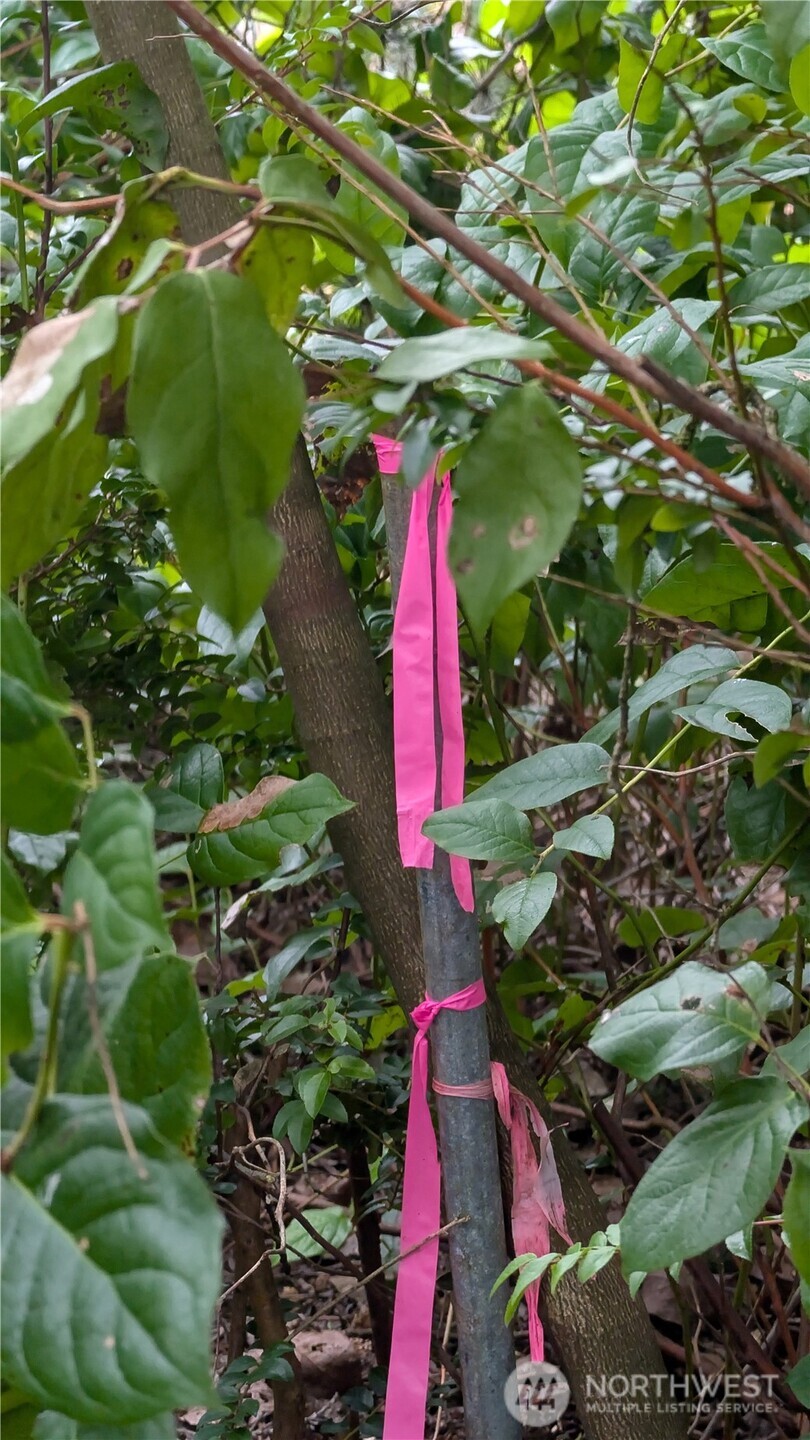 30904 M Place , Ocean Park, WA 98640