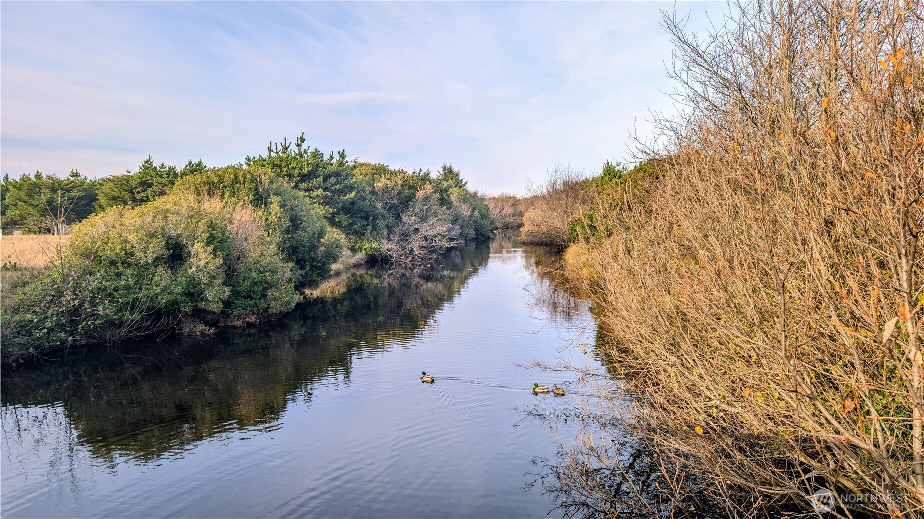 30904 M Place , Ocean Park, WA 98640