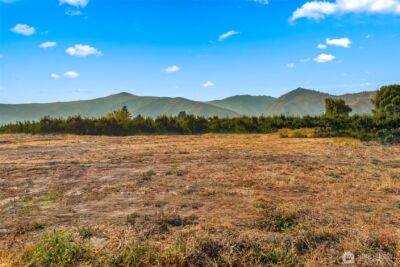 63 Farmer Lane (Lot 8) , Monitor, WA 98836 - Photo 7