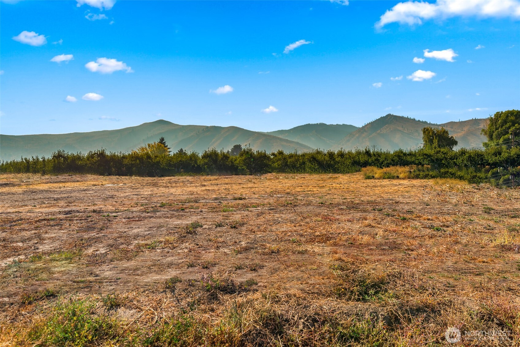 47 Farmer Lane (Lot 9) , Monitor, WA 98836