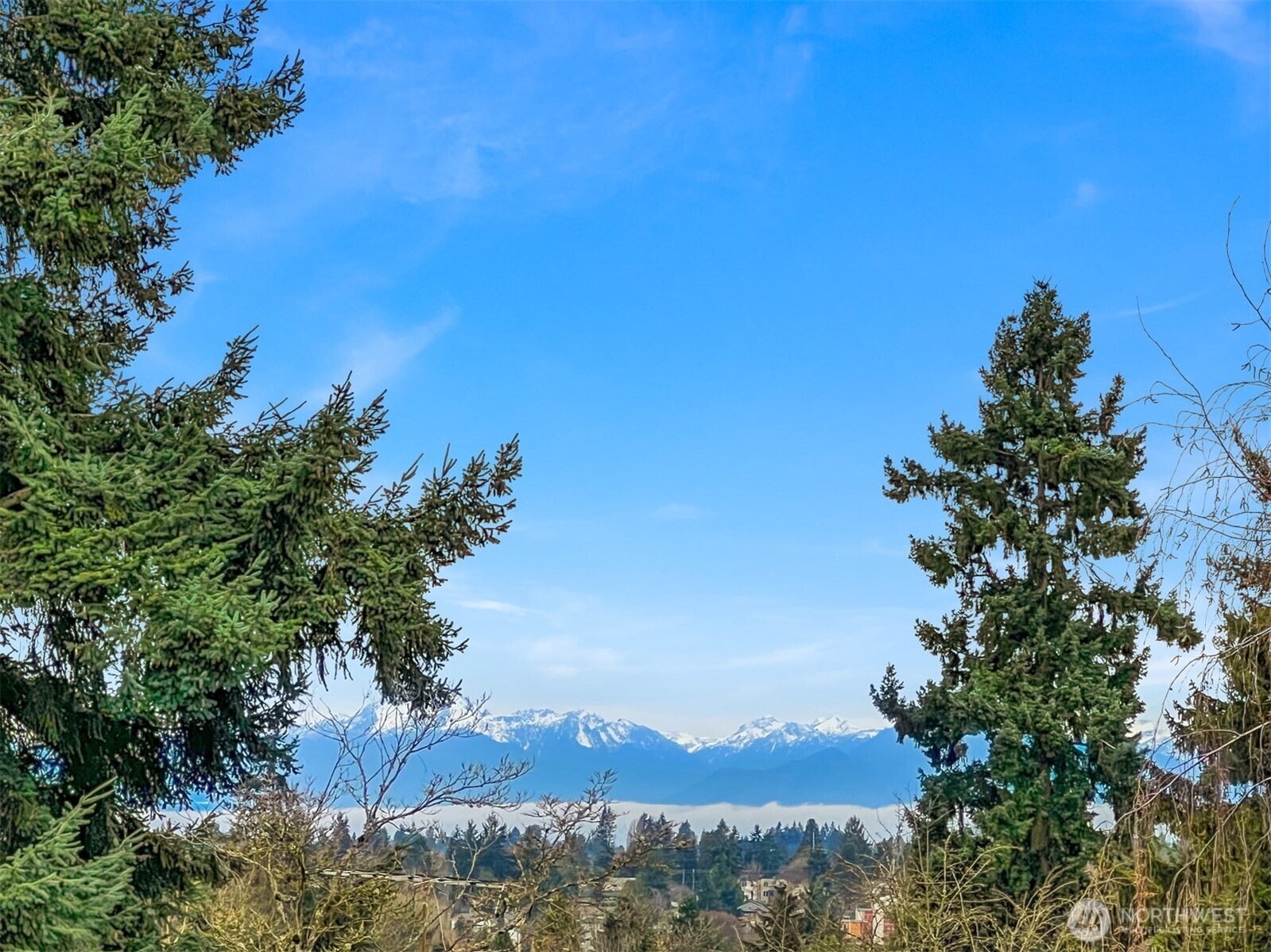 328 NE 91st Street , Seattle, WA 98115