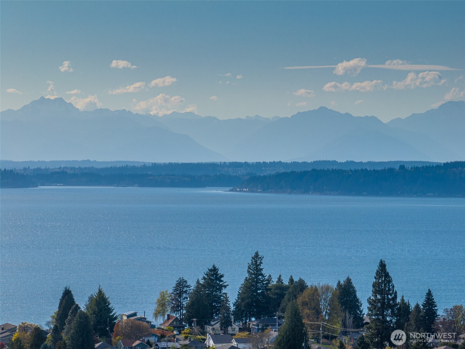 6320 41st Avenue SW #A, Seattle, WA 98136