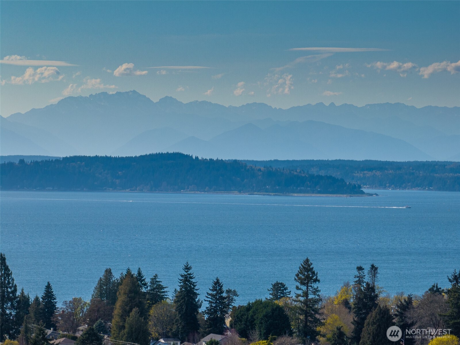 6320 41st Avenue SW #A, Seattle, WA 98136