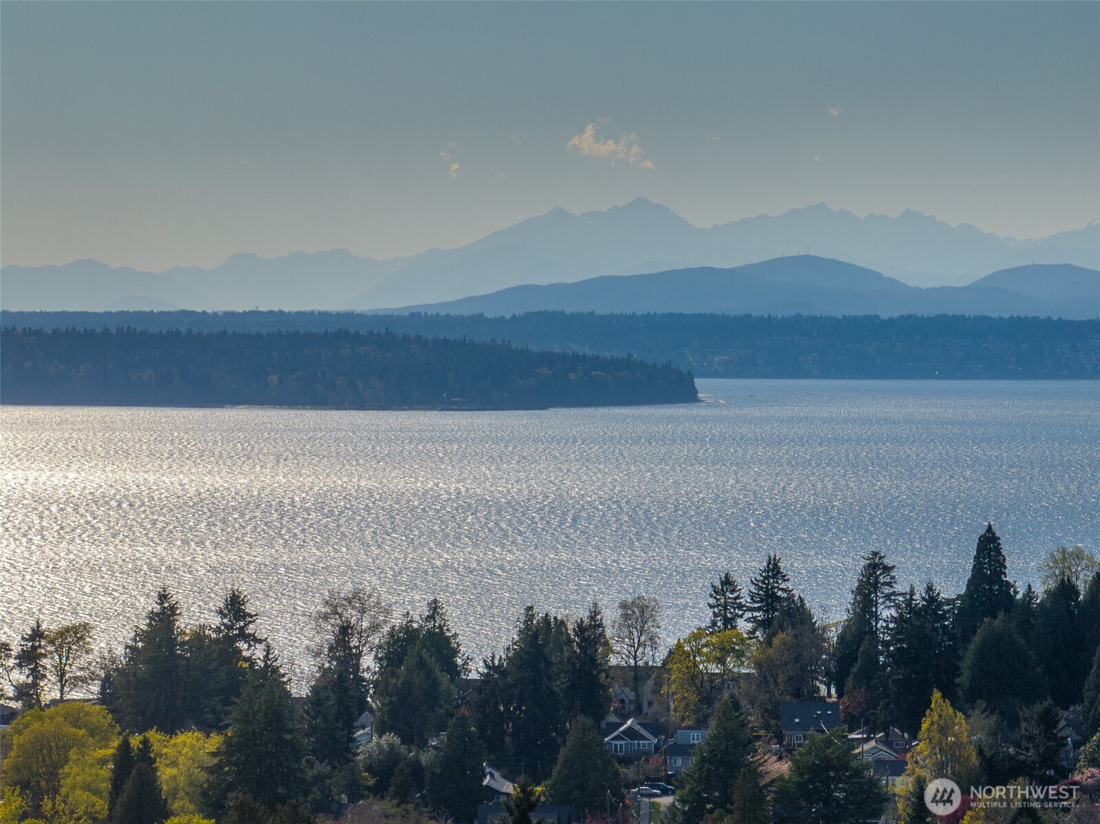 6320 41st Avenue SW #A, Seattle, WA 98136