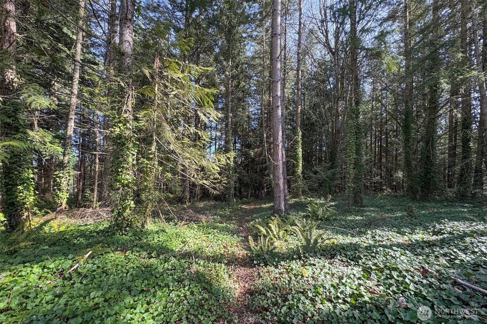 576 Blyn Springs Road , Sequim, WA 98382