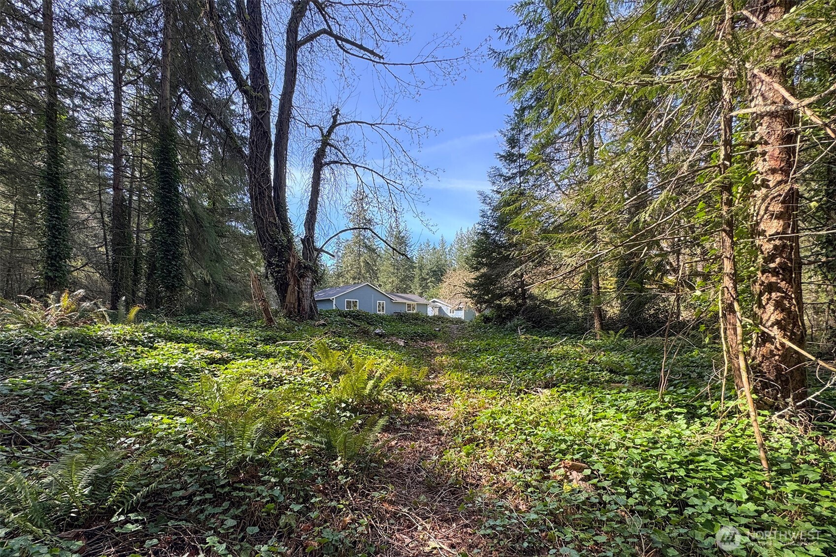 576 Blyn Springs Road , Sequim, WA 98382