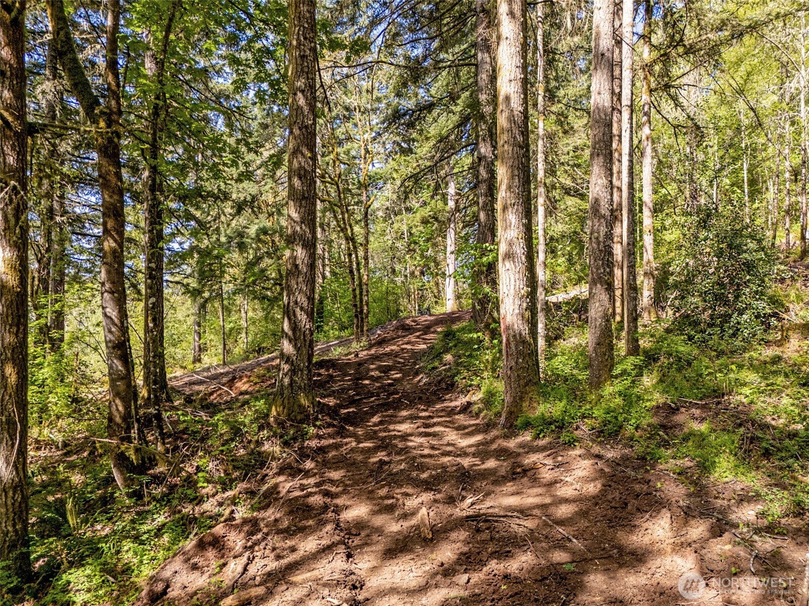 141 Old Spread Borough Road , Kalama, WA 98625