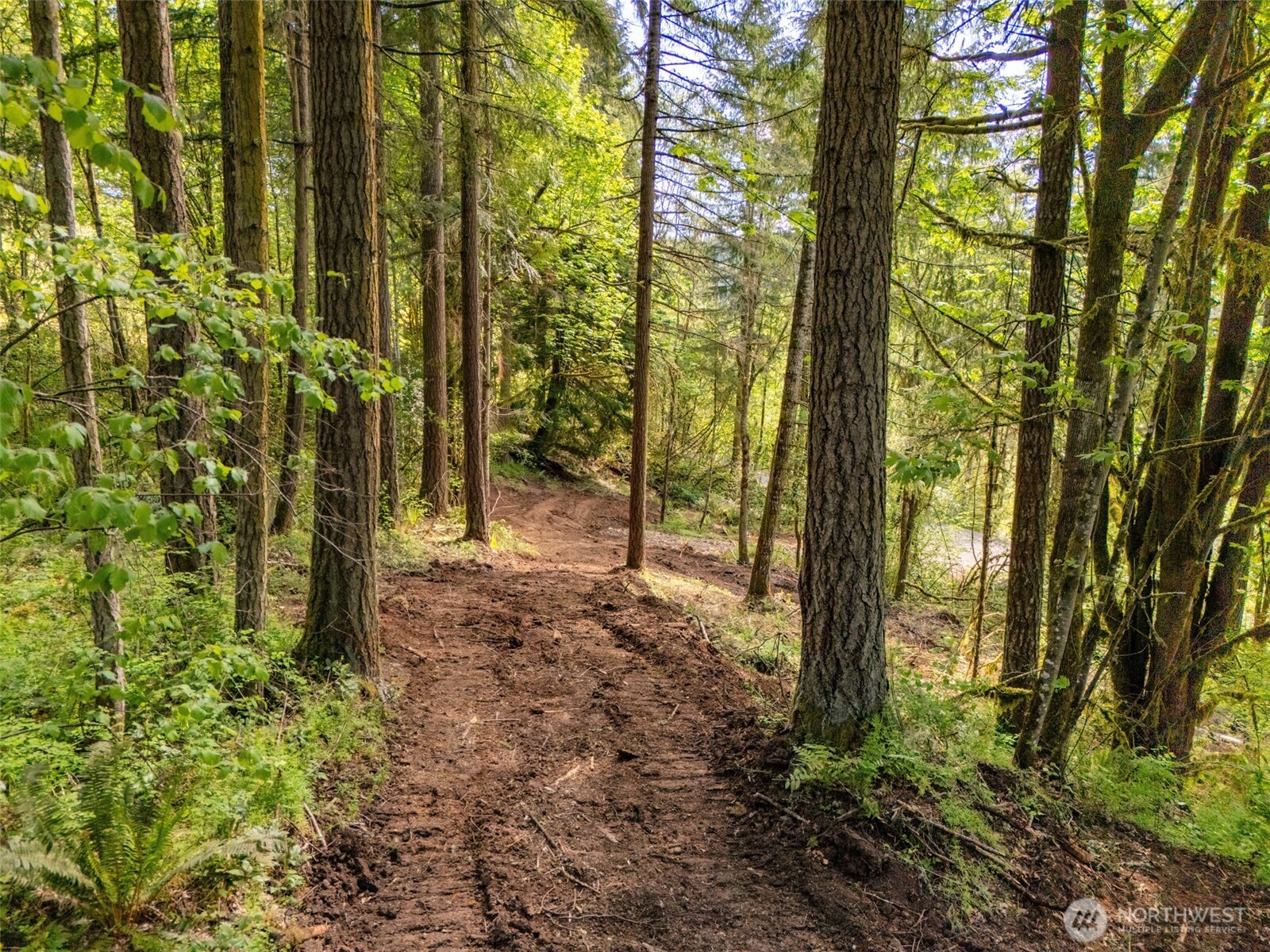 141 Old Spread Borough Road , Kalama, WA 98625