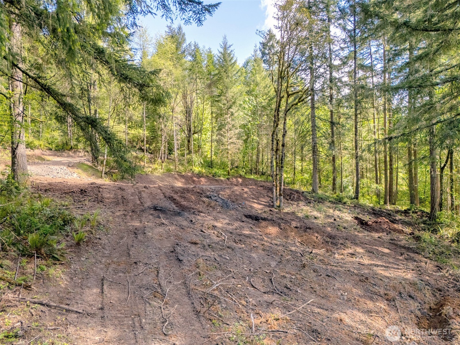 141 Old Spread Borough Road , Kalama, WA 98625