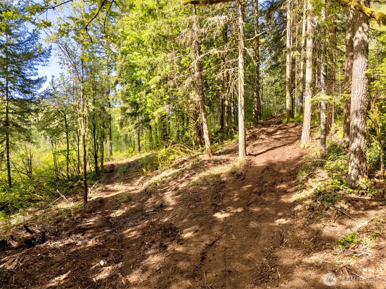 141 Old Spread Borough Road , Kalama, WA 98625